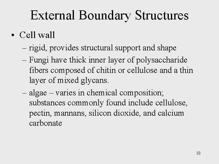 External Boundary Structures • Cell wall – rigid, provides structural support and shape –