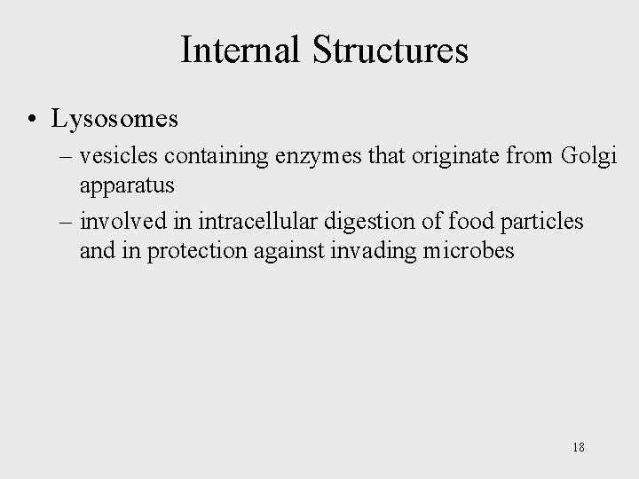 Internal Structures • Lysosomes – vesicles containing enzymes that originate from Golgi apparatus –