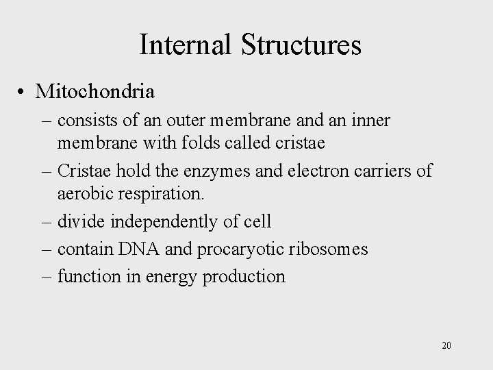 Internal Structures • Mitochondria – consists of an outer membrane and an inner membrane