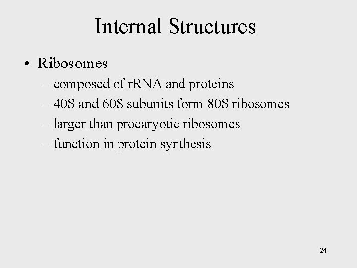 Internal Structures • Ribosomes – composed of r. RNA and proteins – 40 S