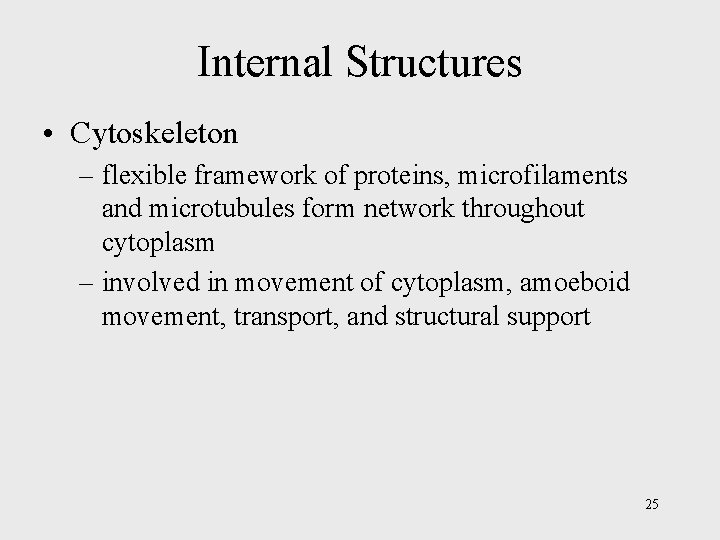 Internal Structures • Cytoskeleton – flexible framework of proteins, microfilaments and microtubules form network