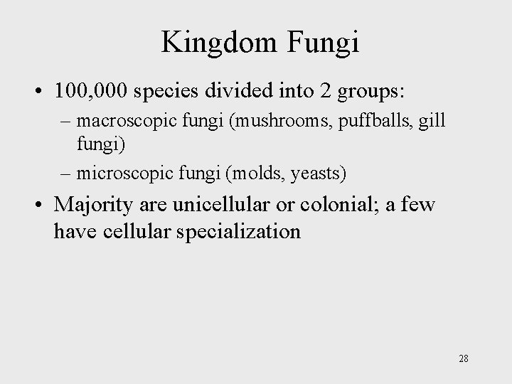 Kingdom Fungi • 100, 000 species divided into 2 groups: – macroscopic fungi (mushrooms,