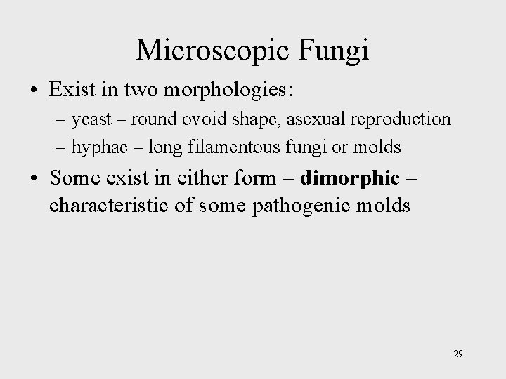 Microscopic Fungi • Exist in two morphologies: – yeast – round ovoid shape, asexual