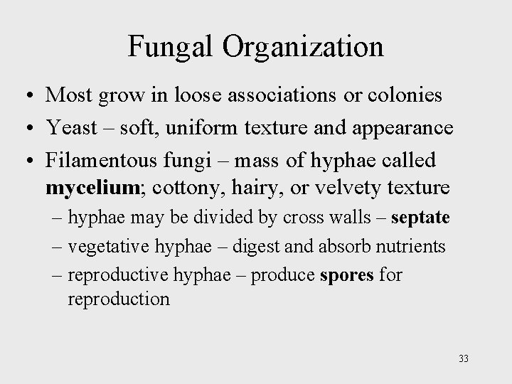 Fungal Organization • Most grow in loose associations or colonies • Yeast – soft,