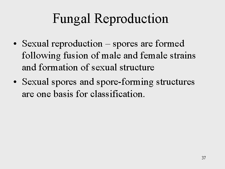 Fungal Reproduction • Sexual reproduction – spores are formed following fusion of male and
