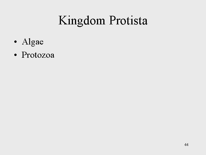 Kingdom Protista • Algae • Protozoa 44 