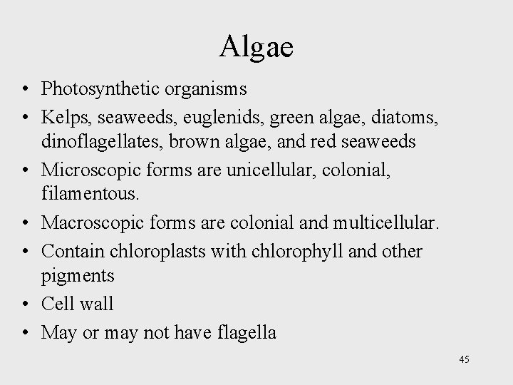 Algae • Photosynthetic organisms • Kelps, seaweeds, euglenids, green algae, diatoms, dinoflagellates, brown algae,