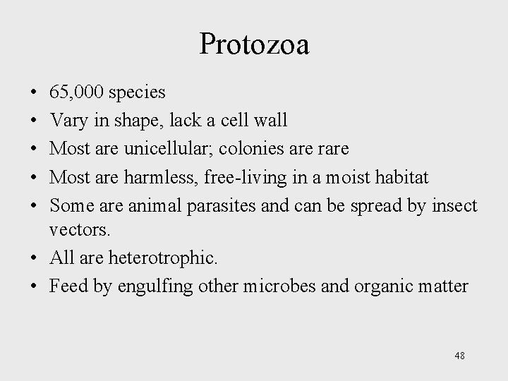 Protozoa • • • 65, 000 species Vary in shape, lack a cell wall