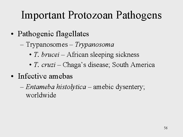 Important Protozoan Pathogens • Pathogenic flagellates – Trypanosoma • T. brucei – African sleeping