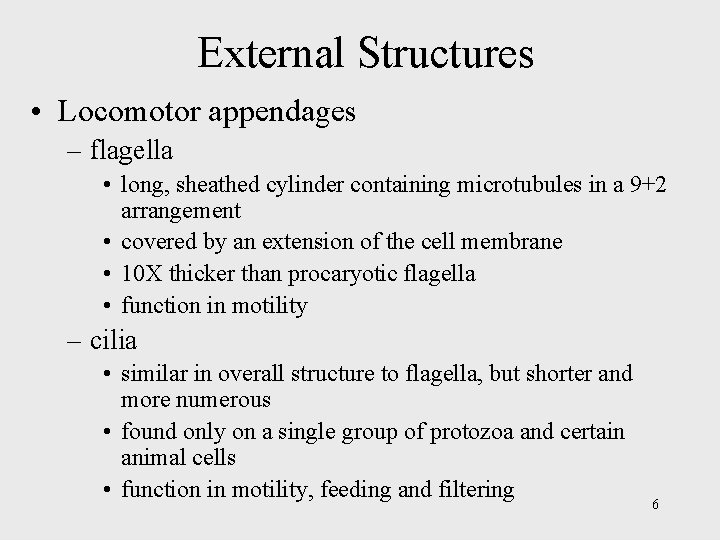 External Structures • Locomotor appendages – flagella • long, sheathed cylinder containing microtubules in