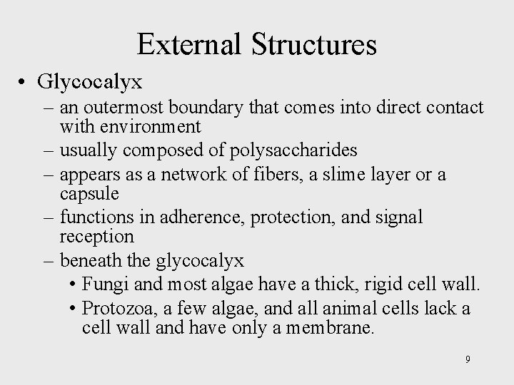 External Structures • Glycocalyx – an outermost boundary that comes into direct contact with