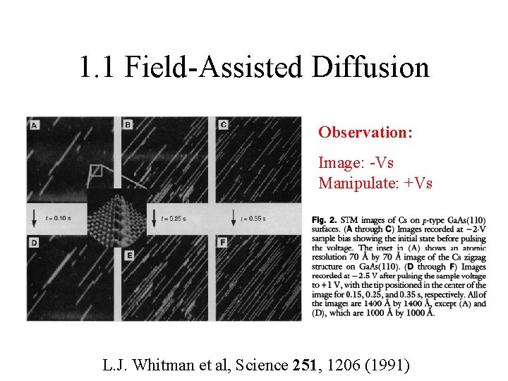 1. 1 Field-Assisted Diffusion Observation: Image: -Vs Manipulate: +Vs L. J. Whitman et al,