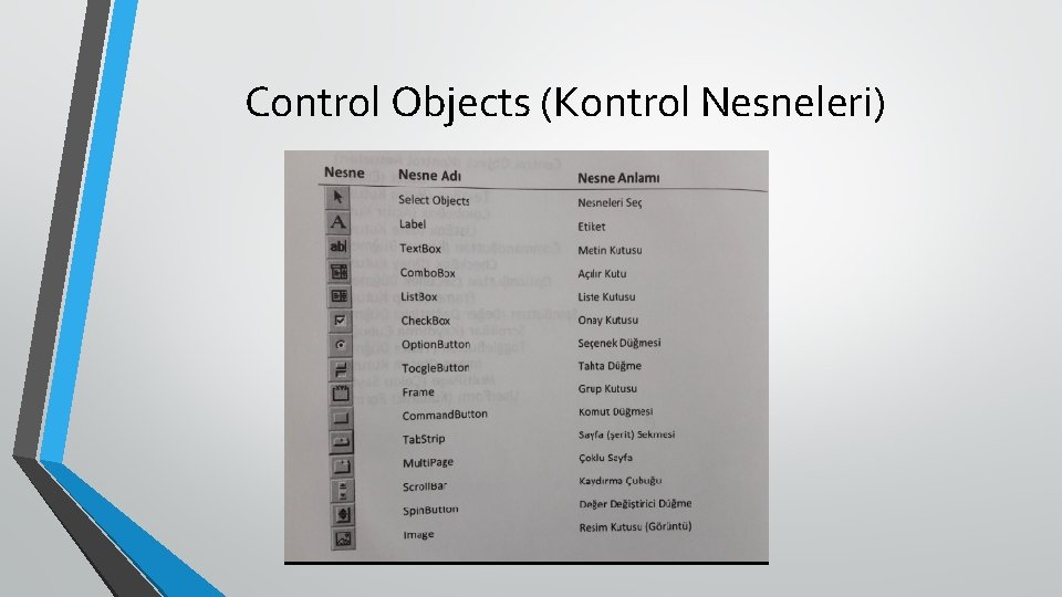 Control Objects (Kontrol Nesneleri) 