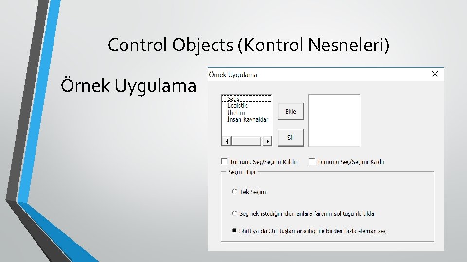 Control Objects (Kontrol Nesneleri) Örnek Uygulama 