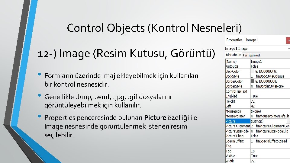 Control Objects (Kontrol Nesneleri) 12 -) Image (Resim Kutusu, Görüntü) • Formların üzerinde imaj