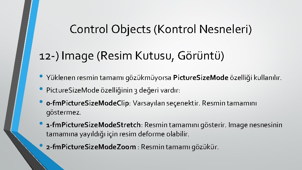 Control Objects (Kontrol Nesneleri) 12 -) Image (Resim Kutusu, Görüntü) • Yüklenen resmin tamamı