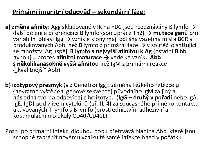 Primární imunitní odpověď – sekundární fáze: a) změna afinity: Agg skladované v IK na