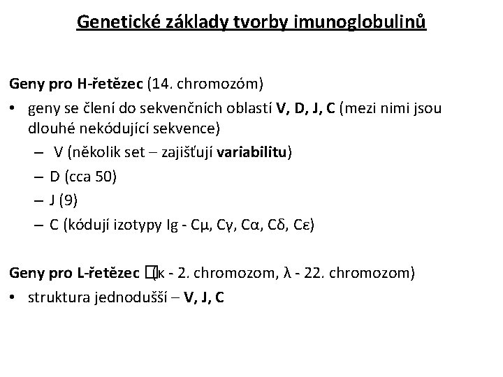 Genetické základy tvorby imunoglobulinů Geny pro H-řetězec (14. chromozóm) • geny se člení do