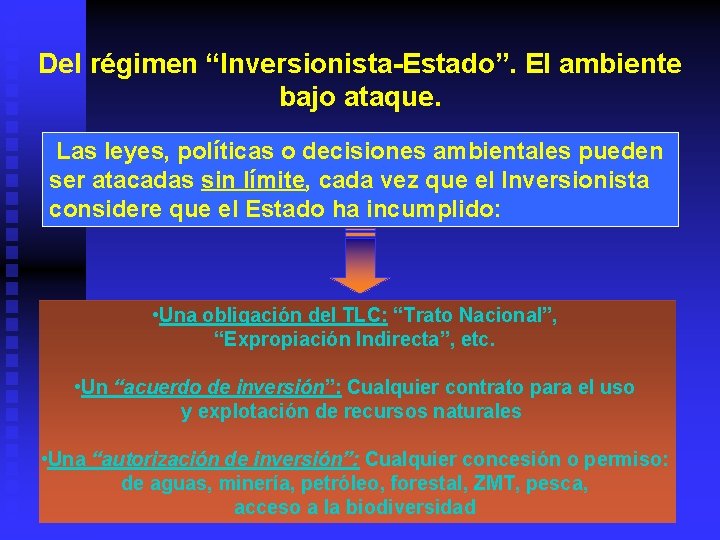 Del régimen “Inversionista-Estado”. El ambiente bajo ataque. Las leyes, políticas o decisiones ambientales pueden