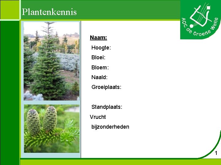 Plantenkennis Naam: Hoogte: Bloei: Bloem: Naald: Groeiplaats: Standplaats: Vrucht bijzonderheden 1 