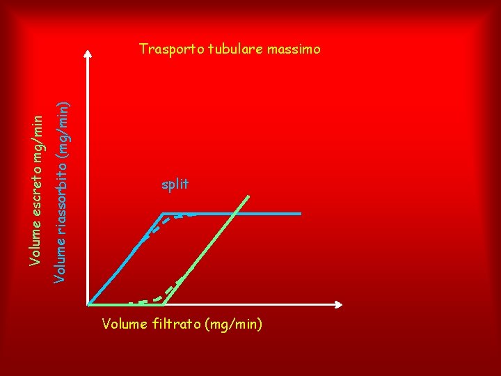 Volume riassorbito (mg/min) Volume escreto mg/min Trasporto tubulare massimo split Volume filtrato (mg/min) 