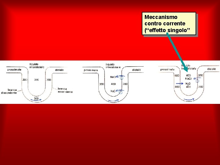 Meccanismo contro corrente (“effetto singolo” 