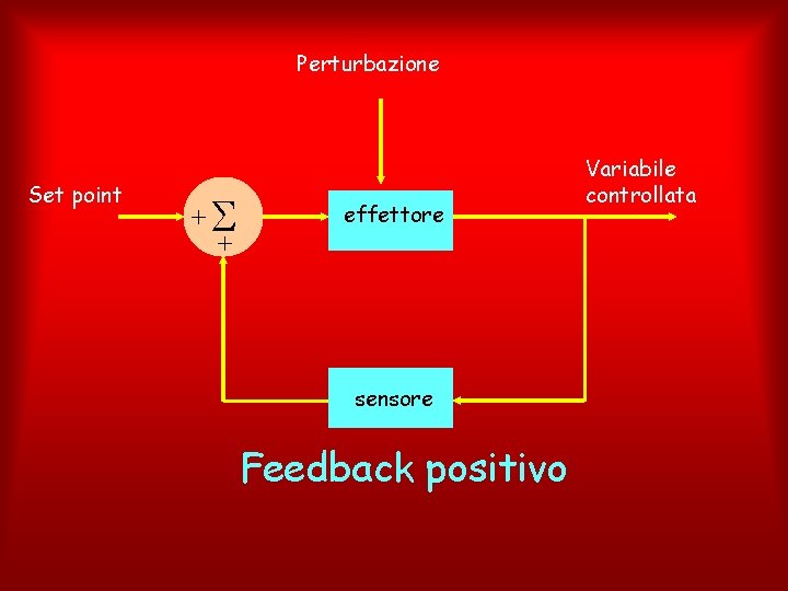 Perturbazione Set point + + effettore sensore Feedback positivo Variabile controllata 