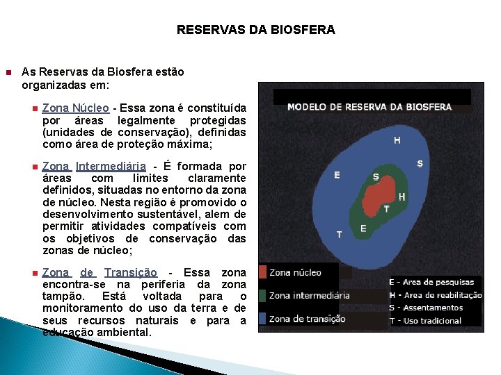 RESERVAS DA BIOSFERA n As Reservas da Biosfera estão organizadas em: n Zona Núcleo