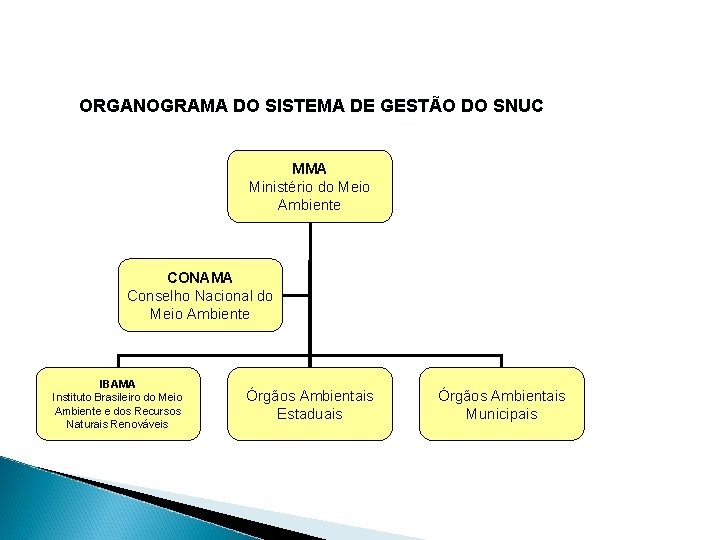 ORGANOGRAMA DO SISTEMA DE GESTÃO DO SNUC MMA Ministério do Meio Ambiente CONAMA Conselho