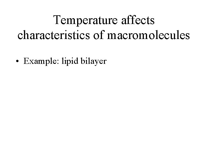 Temperature affects characteristics of macromolecules • Example: lipid bilayer 