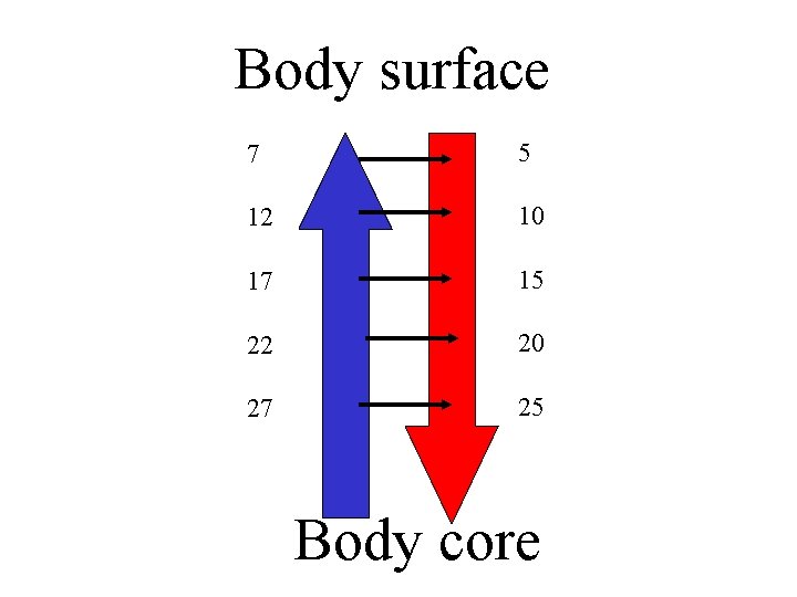Body surface 7 5 12 10 17 15 22 20 27 25 Body core