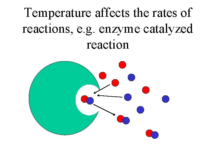 Temperature affects the rates of reactions, e. g. enzyme catalyzed reaction 