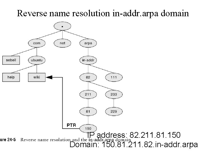 Reverse name resolution in-addr. arpa domain IP address: 82. 211. 81. 150 11 Domain: