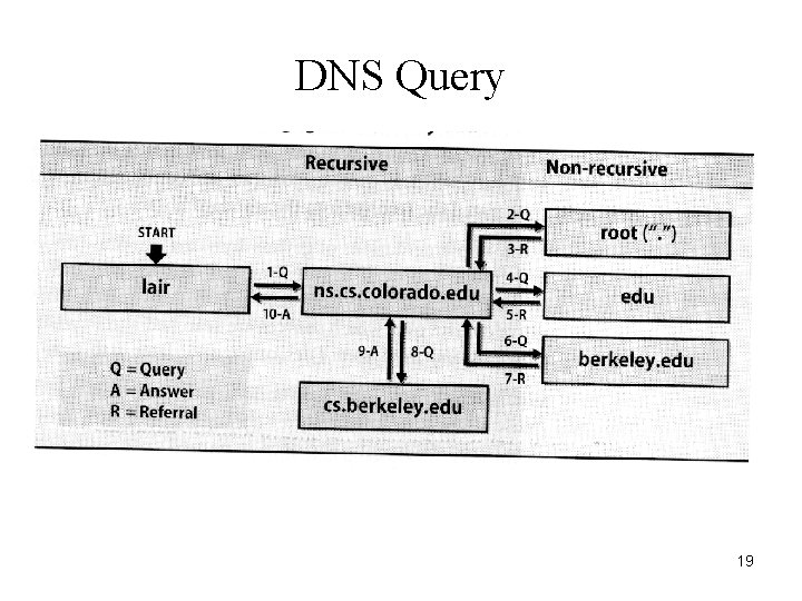 DNS Query 19 