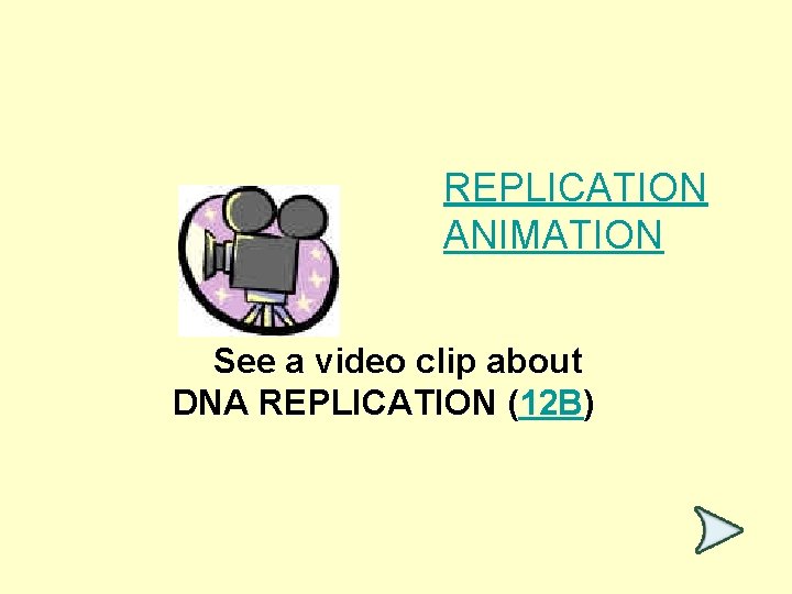 REPLICATION ANIMATION See a video clip about DNA REPLICATION (12 B) 