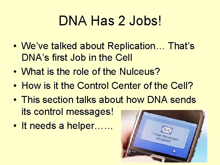 DNA Has 2 Jobs! • We’ve talked about Replication… That’s DNA’s first Job in