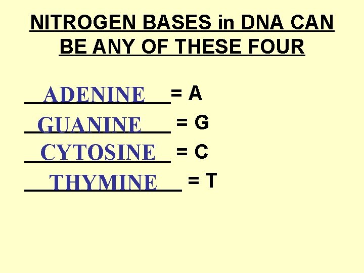 NITROGEN BASES in DNA CAN BE ANY OF THESE FOUR _______= A ADENINE _______