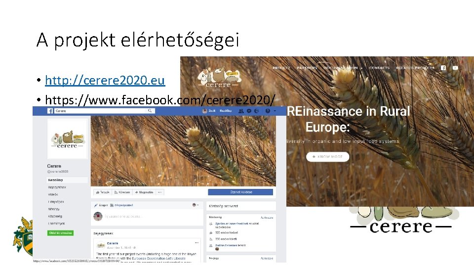 A projekt elérhetőségei • http: //cerere 2020. eu • https: //www. facebook. com/cerere 2020/