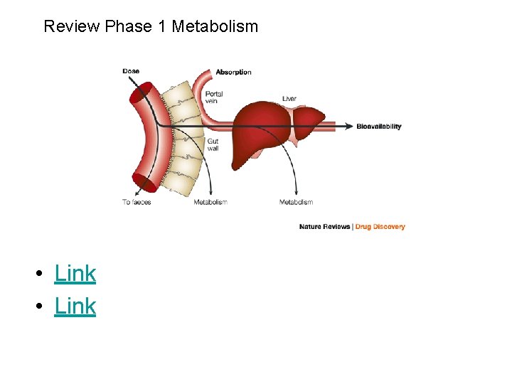 Review Phase 1 Metabolism • Link 