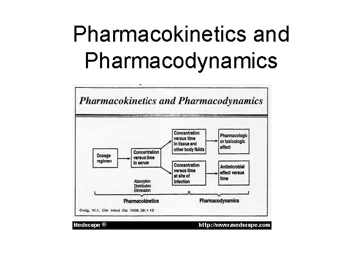 Pharmacokinetics and Pharmacodynamics 