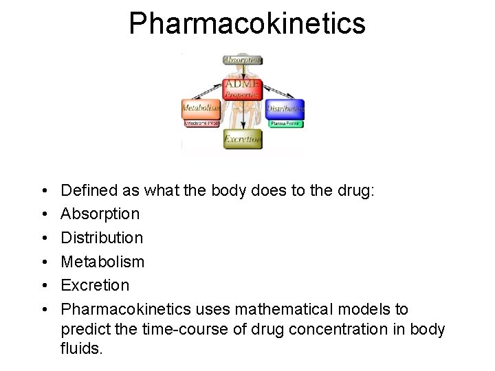 Pharmacokinetics • • • Defined as what the body does to the drug: Absorption