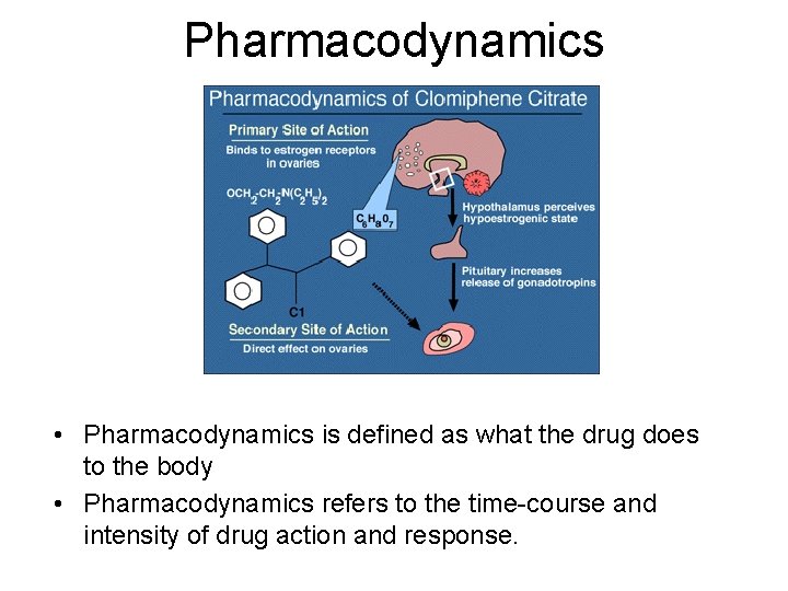 Pharmacodynamics • Pharmacodynamics is defined as what the drug does to the body •