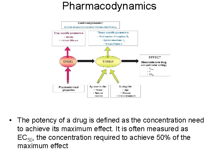 Pharmacodynamics • The potency of a drug is defined as the concentration need to
