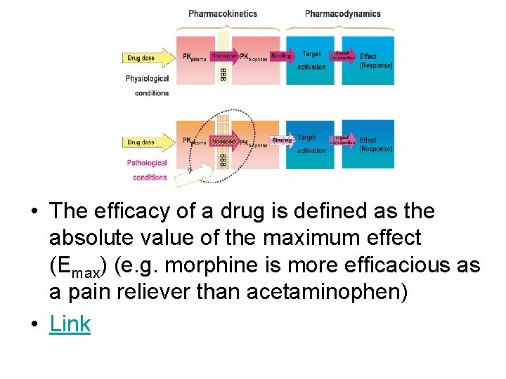  • The efficacy of a drug is defined as the absolute value of