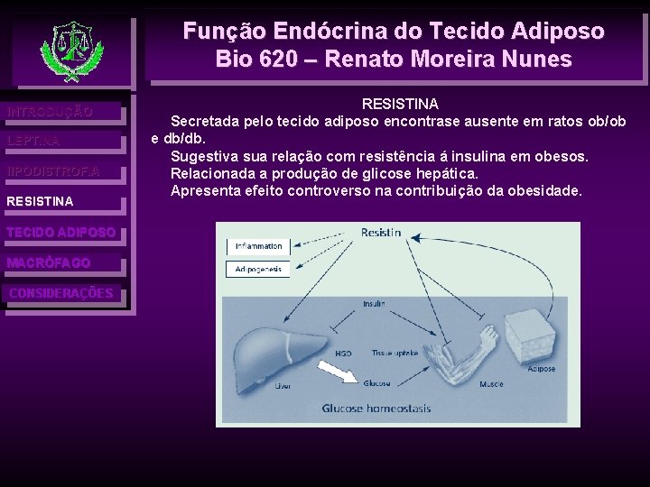 Função Endócrina do Tecido Adiposo Bio 620 – Renato Moreira Nunes INTRODUÇÃO LEPTINA l.