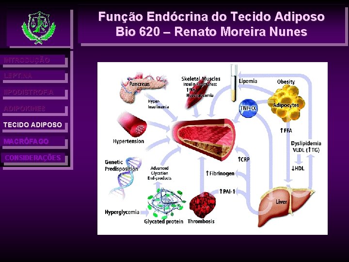 Função Endócrina do Tecido Adiposo Bio 620 – Renato Moreira Nunes INTRODUÇÃO LEPTINA l.