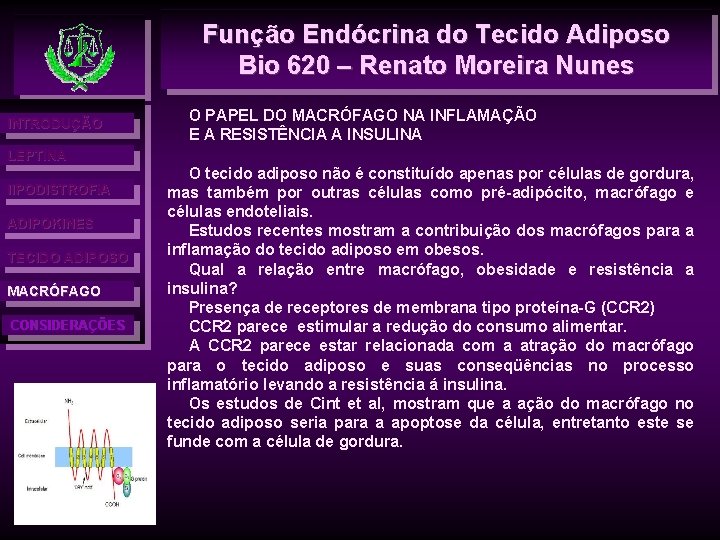 Função Endócrina do Tecido Adiposo Bio 620 – Renato Moreira Nunes INTRODUÇÃO O PAPEL