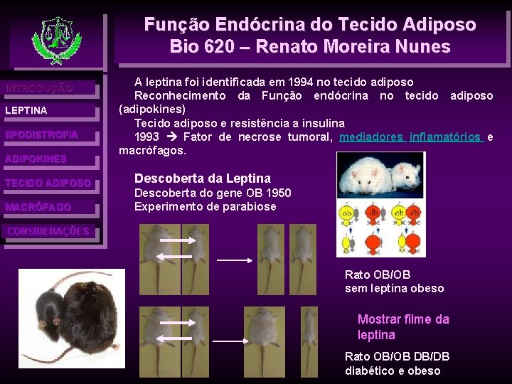 Função Endócrina do Tecido Adiposo Bio 620 – Renato Moreira Nunes INTRODUÇÃO LEPTINA l.