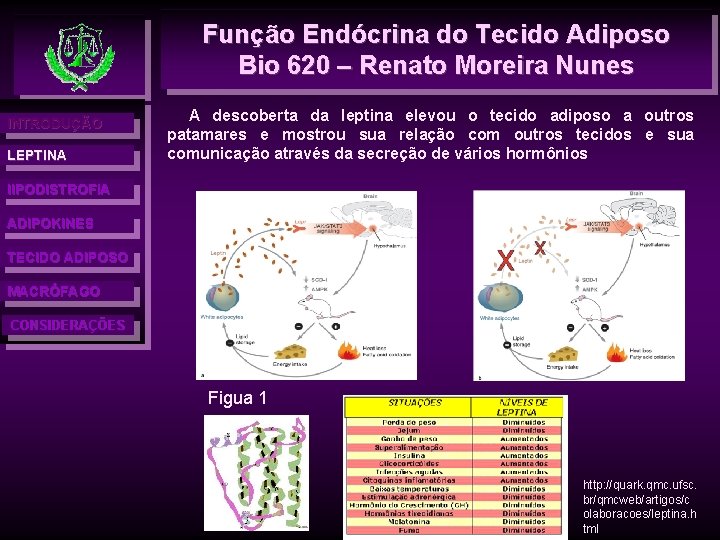 Função Endócrina do Tecido Adiposo Bio 620 – Renato Moreira Nunes INTRODUÇÃO LEPTINA A