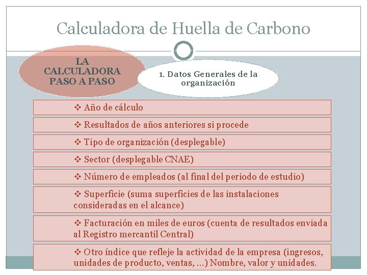 Calculadora de Huella de Carbono LA CALCULADORA PASO 1. Datos Generales de la organización
